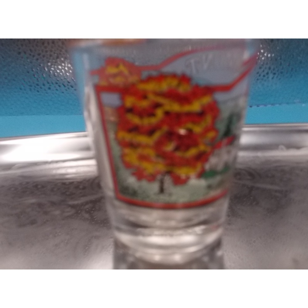 Vintage Worlds Largest Ball of Paint Alexandria Indiana Souvenir Shot Glass